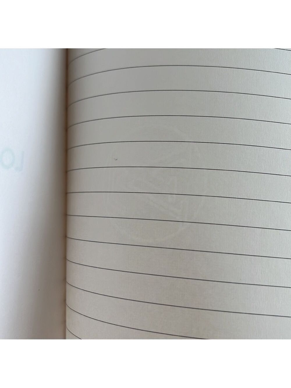 Louis Vuitton Big Wheel Vivienne Clemence notebook - Picture 11 of 15